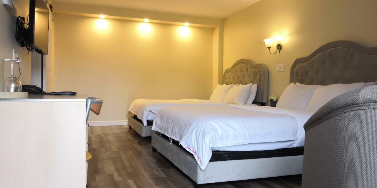 Motel Des Pays D'En Haut Val-David Extérieur photo