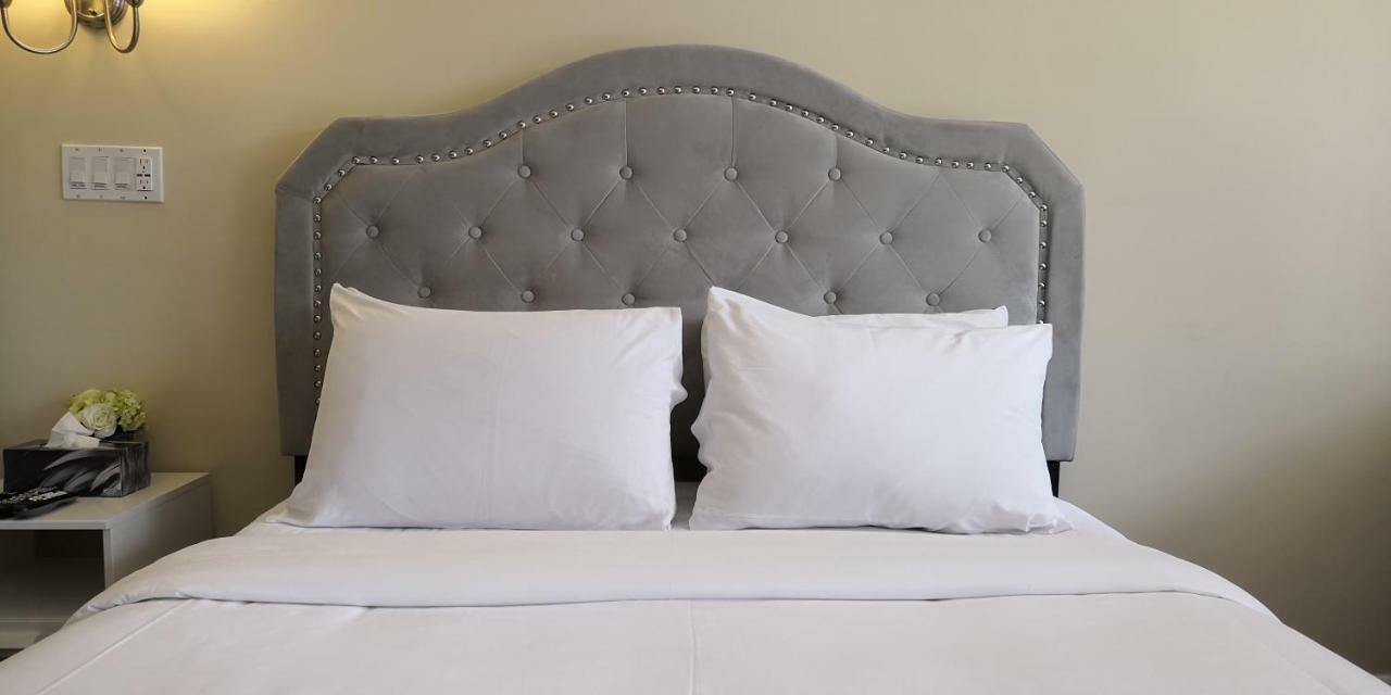 Motel Des Pays D'En Haut Val-David Extérieur photo